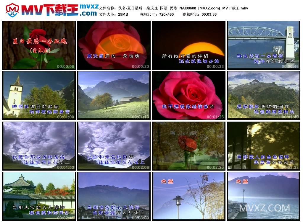 佚名-夏日最后一朵玫瑰_国语_民歌_NAI00608